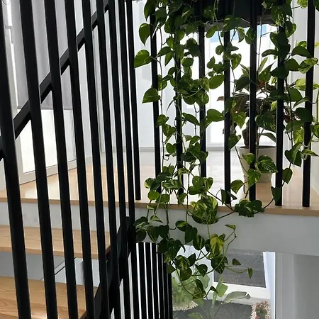 Casa El Timple Prázdninový dům *