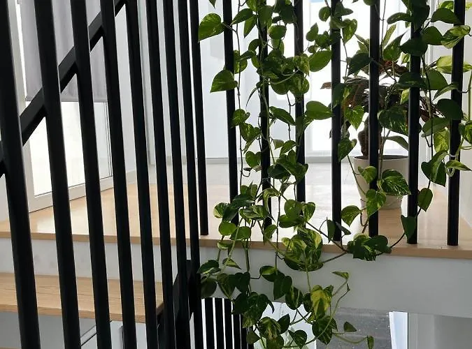 Casa El Timple Holiday home *