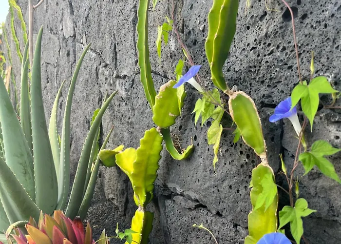 Сasa de vacaciones Casa El Timple *